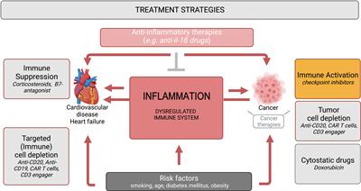 Immuno-cardio-oncology: Killing two birds with one stone?